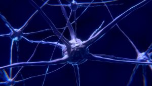What Neurological Disorders Are Covered by Disability Benefits?